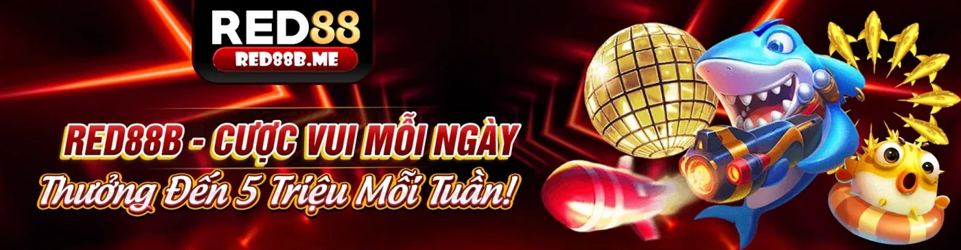 Hình ảnh chính giới thiệu RR8, cổng cá cược trực tuyến hàng đầu